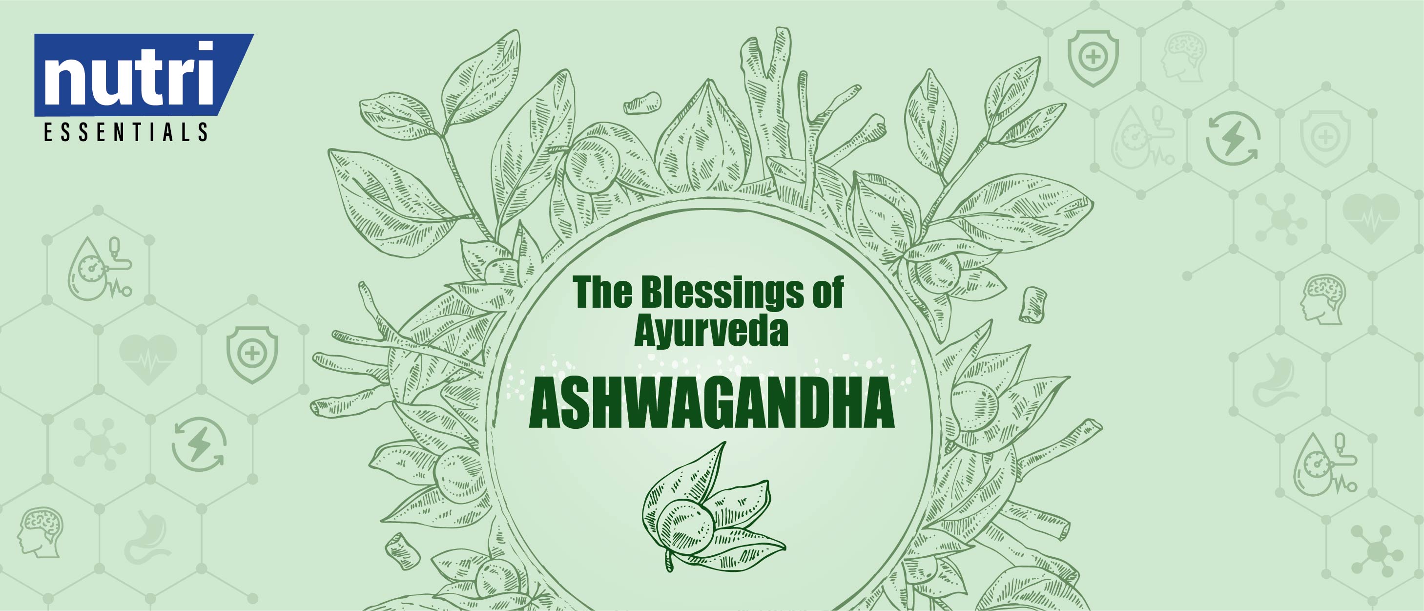 The Blessings of Ayurveda- Ashwagandha