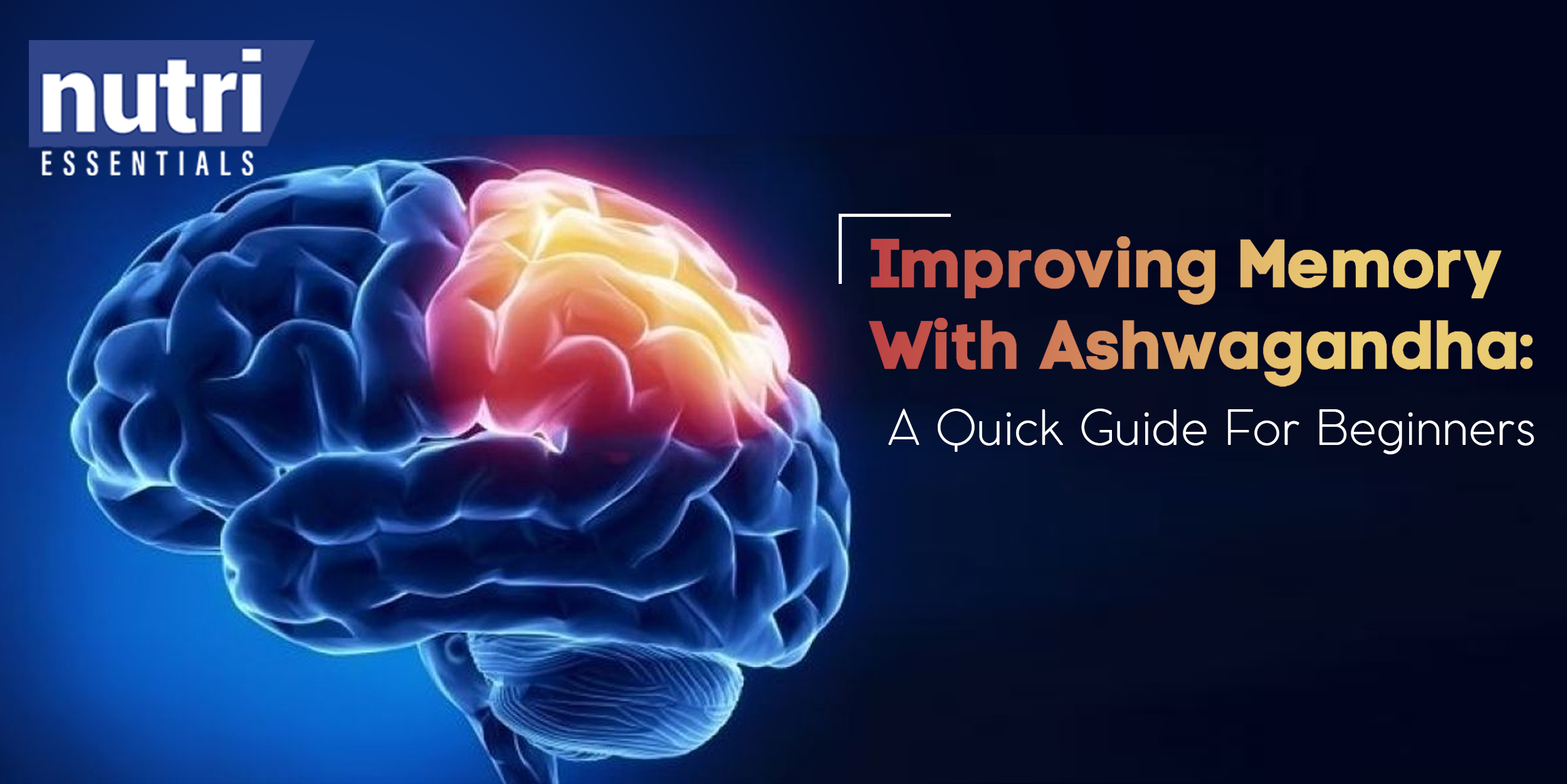 IMPROVING MEMORY WITH ASHWAGANDHA: A QUICK GUIDE FOR BEGINNERS